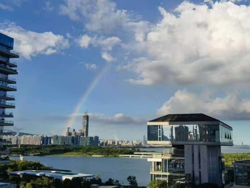 深圳湾1号 313平！